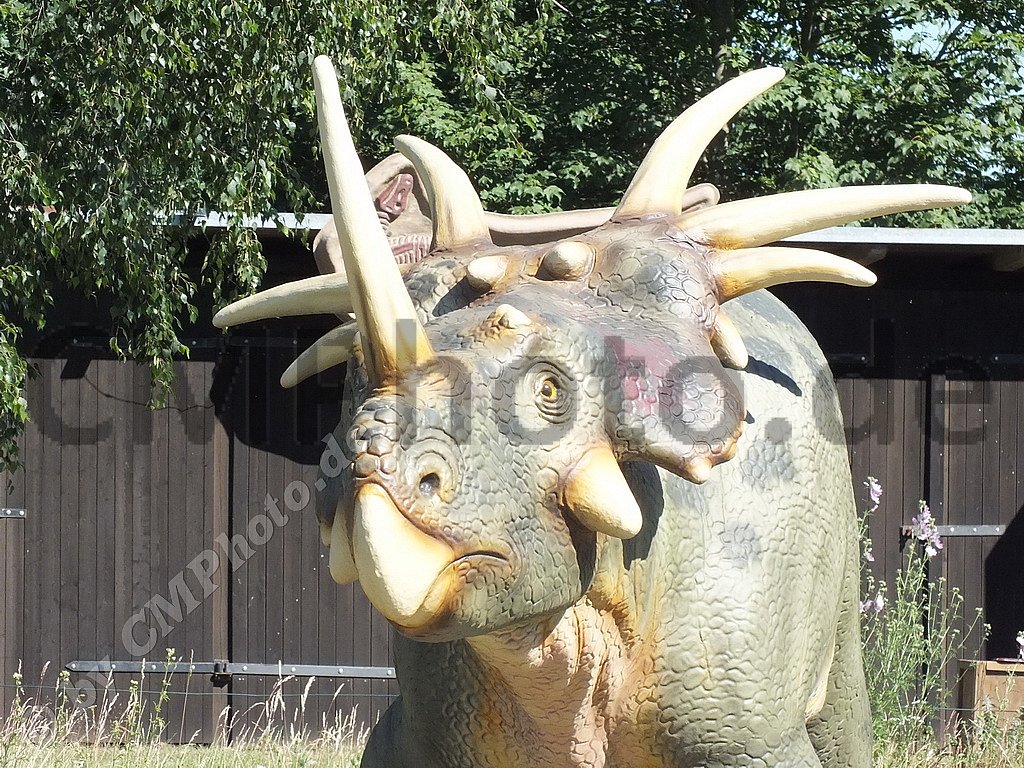 2019 - Juni - Dinopark-Moelschow-(Usedom)